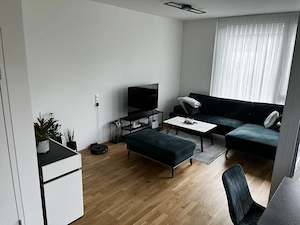 HARD - 2-Zi.Wohnung 50m  mit EG mit Terasse  - zu vermieten Bild 8