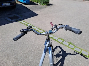 Pfautec Allumino Ally 3-Rad E-Bike Bild 4