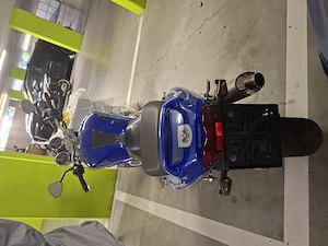 Suzuki Bandit 600 Bj.2003 Bild 3