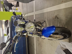 Suzuki Bandit 600 Bj.2003 Bild 5