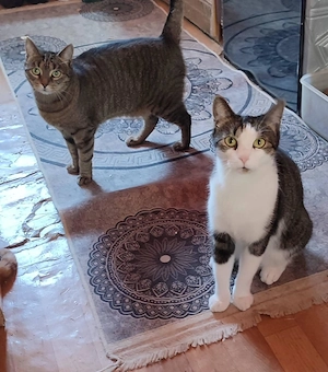 Zela freut sich auf SIE Bild 3