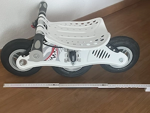 Bockerl schneller den Berg hinunter 