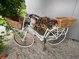 Gazelle Damenfahrrad in sehr gutem Zustand 