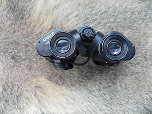 Fernglas Apollo