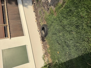 Zu verschenken in Hohenems Bild 2