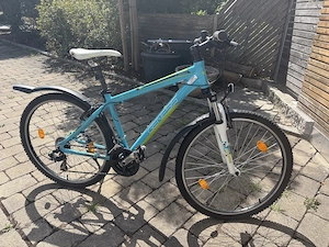 Fahrrad 24 Zoll ca 10-14 Jahre 