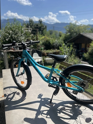 Naloo 20 Zoll Aluleichtfahrrad Bild 2