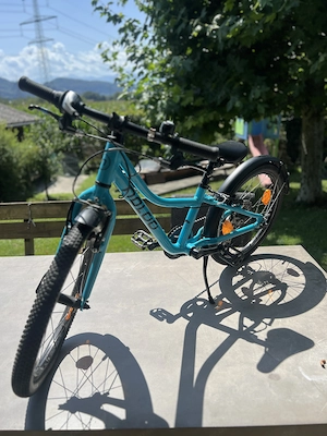 Naloo 20 Zoll Aluleichtfahrrad