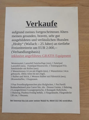 Verkaufe gut ausgebildetes Pferd  Bild 2