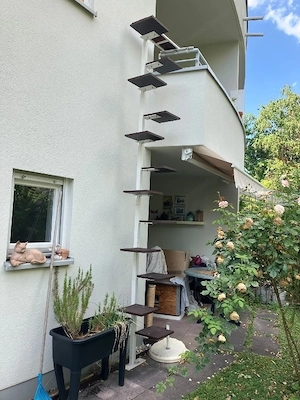 Katzenleiter