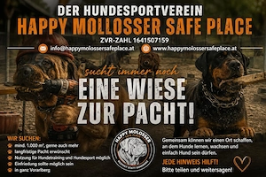  Der Hundesportverein Happy Molosser Safe Place sucht immer noch eine WIESE ZUR PACHT! 