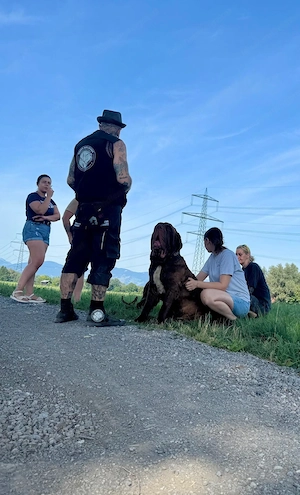  Der Hundesportverein Happy Molosser Safe Place sucht immer noch eine WIESE ZUR PACHT!  Bild 2