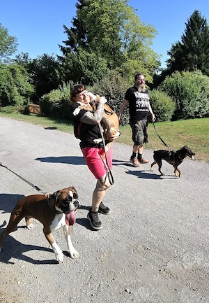  Der Hundesportverein Happy Molosser Safe Place sucht immer noch eine WIESE ZUR PACHT!  Bild 4