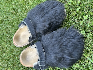 Devich Hölzler