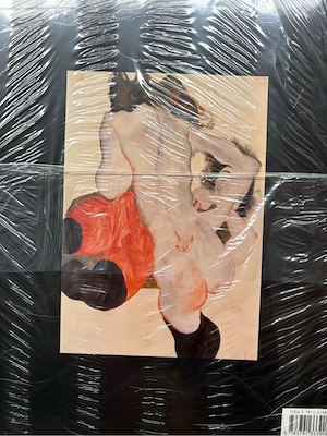 Kunstband (Buch) österr. Expressionist Egon Schiele Bild 2