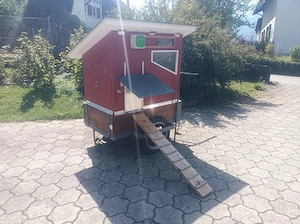 Hühnerstall fahrbar (inkl automatischer Hühnerklappe) Bild 2