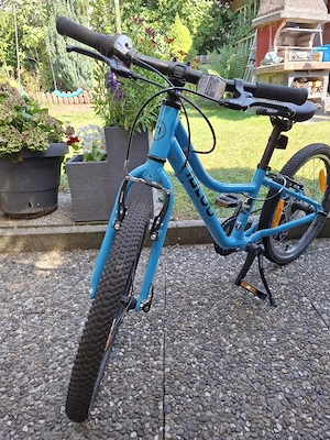 Naloo Chameleon 20 Bild 2