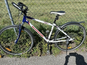 Treckingfahrrad für Herren -  28 Zoll Marke Schwinn, Farbe weiss