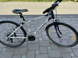 Treckingfahrrad für Herren -  28 Zoll Marke Schwinn, Farbe weiss Bild 4