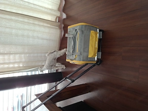 PAWINER Box für kl. Hunde Katzen  inCabin für Flug!