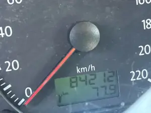 VW Polo Family