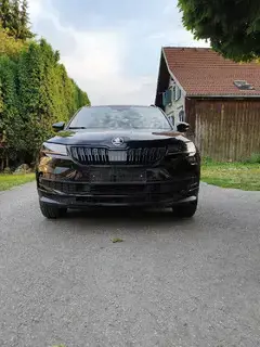 Skoda Karoq Bild 2