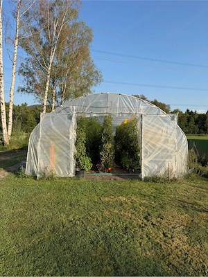 2 FVG Folientunnel Bild 3