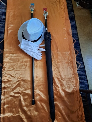 Nicht ohne meinem SPAZIERSTOCK !! Bild 5