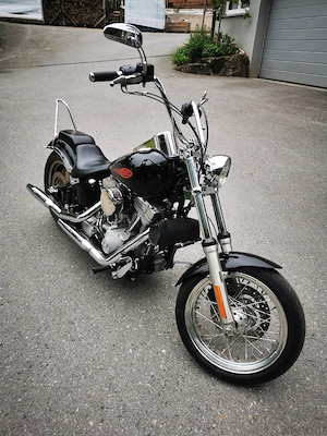 Harley Davidson FXST Bild 4