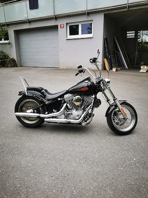 Harley Davidson FXST Bild 3