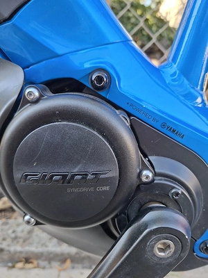 E Bike Giant Bild 3