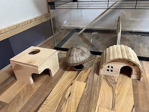Hamsterkäfig mit Zubehör Bild 3