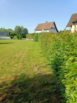 Baugrund in Altach - tolle, sonnige Lage Bild 2