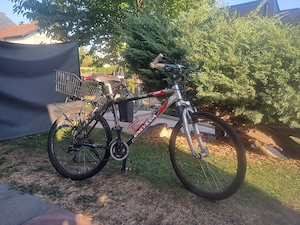 Damenfahrrad 85 Euro