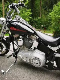Harley Davidson FXST Bild 2