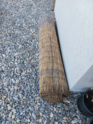 bambuszaun Bild 2