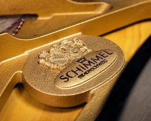 Schimmel Flügel, Made in Germany! Kostenlose Lieferung in ganz Vorarlberg.(*) Bild 7