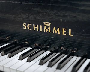Schimmel Flügel, Made in Germany! Kostenlose Lieferung in ganz Vorarlberg.(*) Bild 6