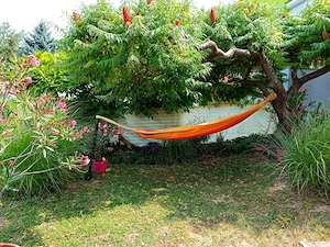 Urlaub am Balaton in Balatonlelle Bild 10