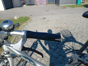 Damenfahrrad Nabenschaltung 7 Gang und Nabendynamo Bild 2