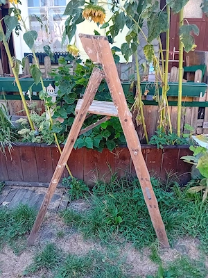 Alte Stehleiter Hö.150cm  Bild 4
