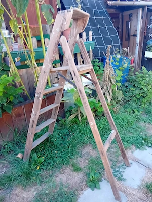 Alte Stehleiter Hö.150cm  Bild 3