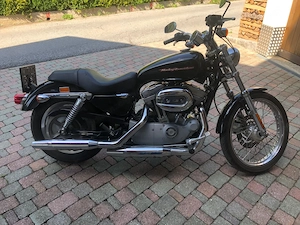 Harley-Davidson Sportster XL883C Chopper_Cruiser Bild 2