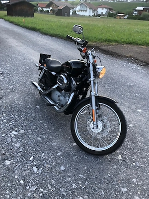 Harley-Davidson Sportster XL883C Chopper_Cruiser Bild 4