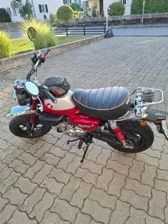 Honda Monkey zu verkaufen  Bild 2
