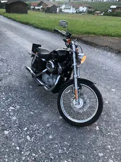 Harley-Davidson Sportster XL883C Chopper_Cruiser Bild 6