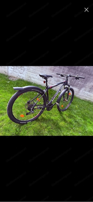Focus Whistler 29" MTB Bild 2