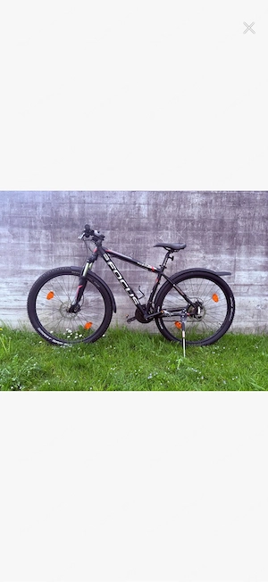 Focus Whistler 29" MTB Bild 3