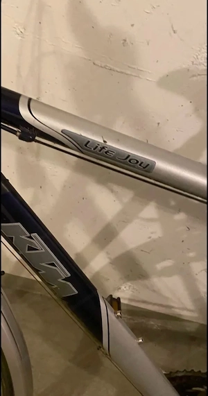 KTM Life Joy Fahrrad Bild 2