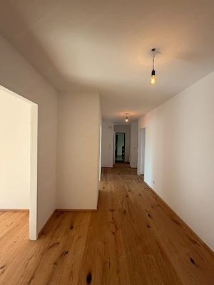 ruhige sonnige 3,5 Zimmer Wohnung in Bregenz Seenähe neu renoviert Bild 3